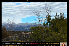 BRANDED-IMAGES-FOR-LISTINGS_101-Avenida-Aldea-04-09-18