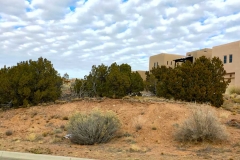 04 134 Ave Frijoles curb