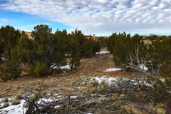 05 134 Ave Frijoles looking-north