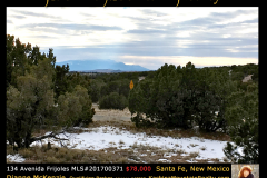 BRANDED-IMAGES-FOR-LISTINGS_134-Avendia-Frijoles-04-09-18