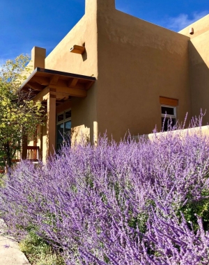 Aldea Townhouse 15-Calle-Amistosa-Santa-Fe-NM-87507-