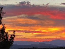 IMG_0619
