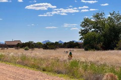 views_1050