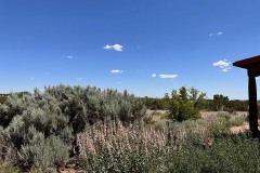 yard_0944