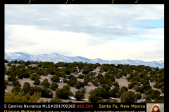 BRANDED-IMAGES-FOR-LISTINGS_5-Cam-Barranca-04-09-18