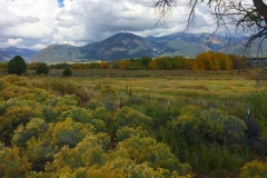 KMR_home-page-images-2018_autumn