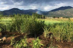 kmr_home-page-images-2018_summer