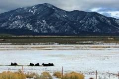 kmr_home-page-images-2018_winter