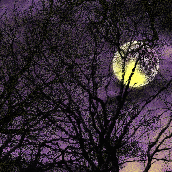full_moon_alt_purple-2