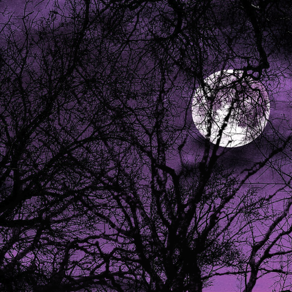 full_moon_alt_purple