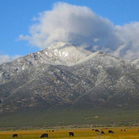 Taos-County-area