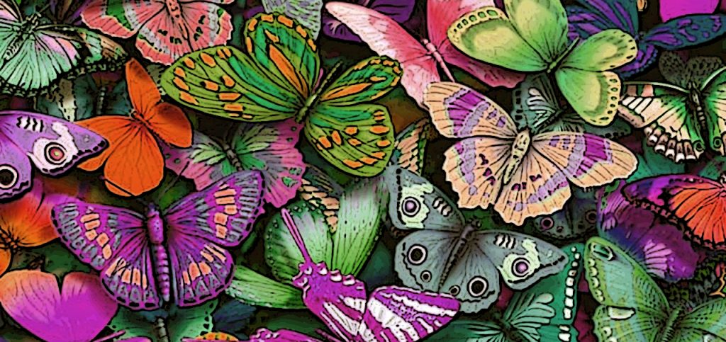 Butterflies-change horizontal