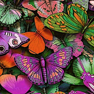 Butterflies-change horizontal