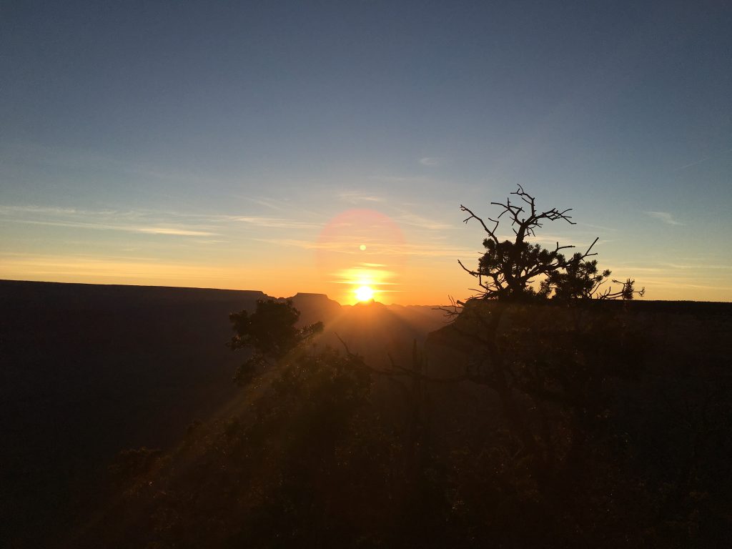 sunrise grand canyon setting Aeowyn free