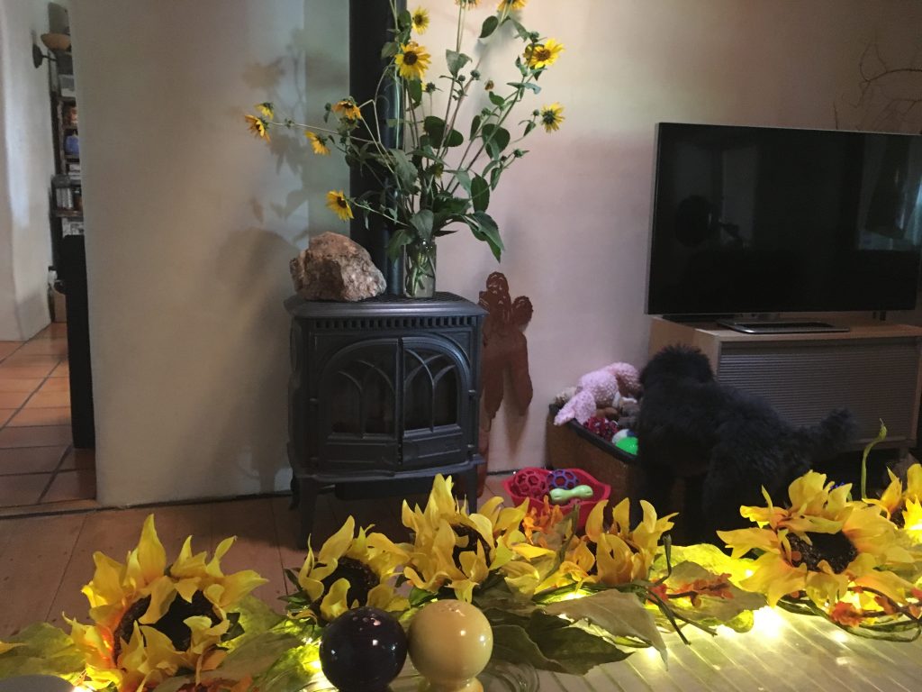 Autumn in our home