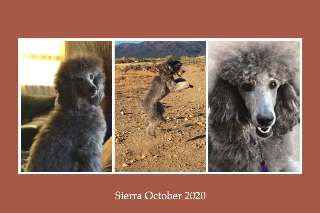 sierra-Oct-2020