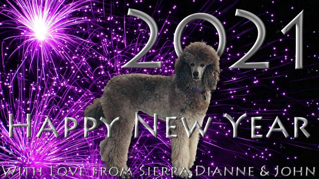 Sierra-2021-fireworks-Happy-New-Year
