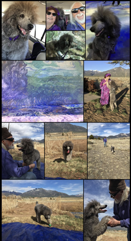 Sierra photo collage April 2022