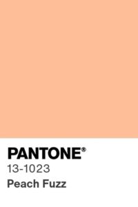 Pantone color of 2024 Peach Fuzz
