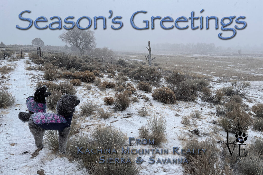 Season's Greetings 2025